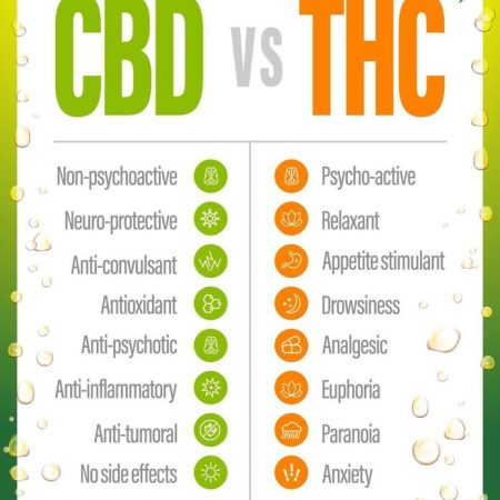 CBD vs THC